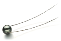 Colgante de perlas Perla Tahití de calidad AA de 12 a 13mm en color Negro