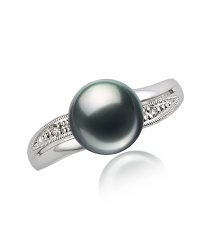 Anillo de perlas Perla Akoya Japonesa de calidad AAA de 7 a 8mm en color Negro