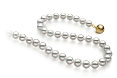 Collar de perlas Perla Akoya Japonesa de calidad Hanadama - AAAA de 6.5 a 7mm en color Blanco