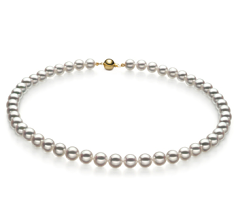 Collar de perlas Perla Akoya Japonesa de calidad Hanadama - AAAA de 7.5 a 8mm en color Blanco