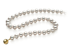Collar de perlas Perla Akoya Japonesa de calidad Hanadama - AAAA de 7.5 a 8mm en color Blanco