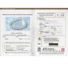 Pulsera de perlas Perla Akoya Japonesa de calidad Hanadama - AAAA de 6.5 a 7mm en color Blanco