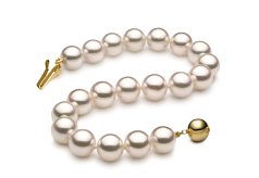 Pulsera de perlas Perla Akoya Japonesa de calidad Hanadama - AAAA de 7.5 a 8mm en color Blanco