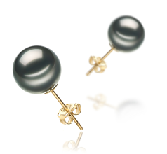 Par de pendientes de perlas Perla Tahití de calidad AA de 9 a 10mm en color Negro