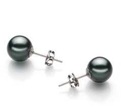 Par de pendientes de perlas Perla Tahití de calidad AA de 8 a 9mm en color Negro