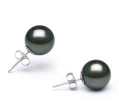 Par de pendientes de perlas Perla Tahití de calidad AA de 10 a 11mm en color Negro