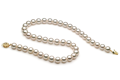 Collar de perlas Perla Akoya Japonesa de calidad AAA de 8 a 8.5mm en color Blanco