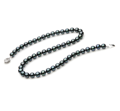 Collar de perlas Perla Akoya Japonesa de calidad AAA de 7 a 7.5mm en color Negro