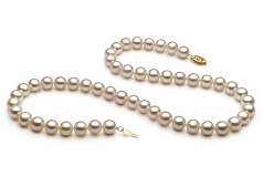 Collar de perlas Perla de Agua Dulce de calidad AA de 6.5 a 7.5mm en color Blanco