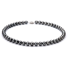 Conjunto de perlas Perla de Agua Dulce de calidad AA de 7.5 a 8.5mm en color Negro