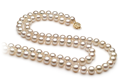 Collar de perlas Perla de Agua Dulce de calidad AA de 7.5 a 8.5mm en color Blanco