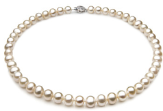 Collar de perlas Perla de Agua Dulce de calidad A de 7 a 8mm en color Blanco
