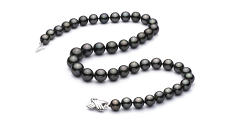 Collar de perlas Perla Tahití de calidad AAA de 9.5 a 11mm en color Negro