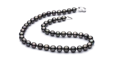 Collar de perlas Perla Tahití de calidad AAA de 9.2 a 10.9mm en color Negro