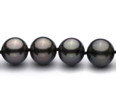 Collar de perlas Perla Tahití de calidad AAA de 9.2 a 10.9mm en color Negro