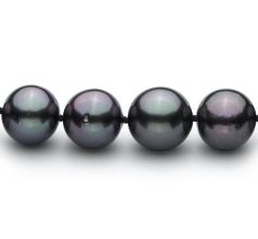 Collar de perlas Perla Tahití de calidad AA+ de 9.1 a 11mm en color Negro