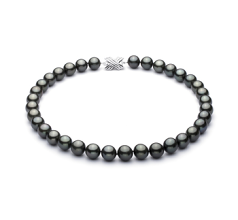 Collar de perlas Perla Tahití de calidad AAA de 10.9 a 13.8mm en color Negro