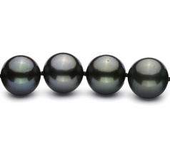 Collar de perlas Perla Tahití de calidad AAA de 10.9 a 13.8mm en color Negro