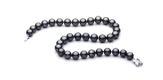 Collar de perlas Perla Tahití de calidad AAA de 11.1 a 11.9mm en color Negro