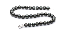 Collar de perlas Perla Tahití de calidad AAA de 11.1 a 13.8mm en color Negro