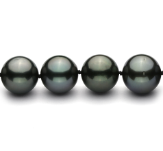 Collar de perlas Perla Tahití de calidad AAA de 11.1 a 13.8mm en color Negro