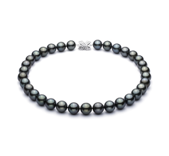Collar de perlas Perla Tahití de calidad AAA de 12 a 12.9mm en color Negro