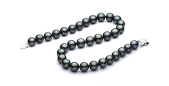 Collar de perlas Perla Tahití de calidad AAA de 12 a 12.9mm en color Negro