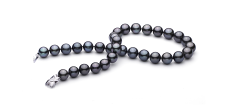 Collar de perlas Perla Tahití de calidad AAA de 12 a 13.1mm en color Negro