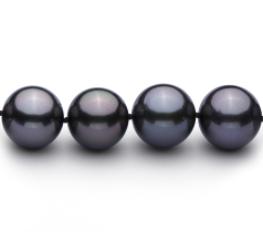 Collar de perlas Perla Tahití de calidad AAA de 12 a 13.1mm en color Negro