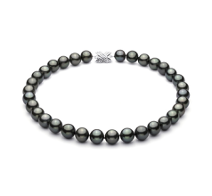Collar de perlas Perla Tahití de calidad AAA de 12 a 12.9mm en color Negro