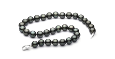 Collar de perlas Perla Tahití de calidad AAA de 12 a 12.9mm en color Negro