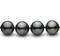 Collar de perlas Perla Tahití de calidad AAA de 12 a 12.9mm en color Negro