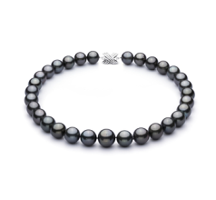 Collar de perlas Perla Tahití de calidad AAA+ de 13.1 a 16mm en color Negro