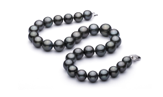Collar de perlas Perla Tahití de calidad AAA+ de 13.1 a 16mm en color Negro