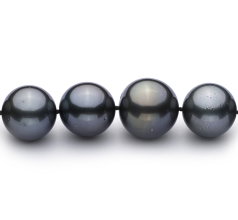 Collar de perlas Perla Tahití de calidad AAA+ de 13.1 a 16mm en color Negro