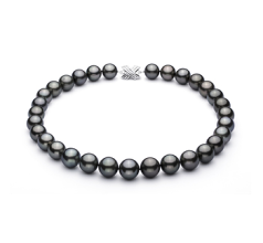 Collar de perlas Perla Tahití de calidad AAA de 13 a 15.5mm en color Negro
