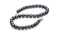Collar de perlas Perla Tahití de calidad AAA de 11.1 a 12.9mm en color Multicolor