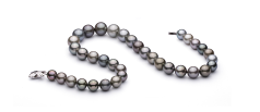 Collar de perlas Perla Tahití de calidad AAA de 11 a 14.6mm en color Multicolor