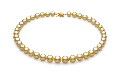 Collar de perlas Mar del Sur de calidad AAA de 9 a 11.8mm en color Oro