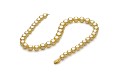 Collar de perlas Mar del Sur de calidad AAA de 9 a 11.8mm en color Oro