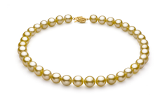 Collar de perlas Mar del Sur de calidad AAA de 10.9 a 12.8mm en color Oro