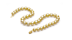 Collar de perlas Mar del Sur de calidad AAA de 10.9 a 12.8mm en color Oro