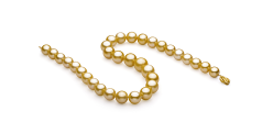 Collar de perlas Mar del Sur de calidad AAA+ de 11.5 a 15.2mm en color Oro