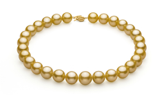 Collar de perlas Mar del Sur de calidad AAA+ de 14 a 15.7mm en color Oro