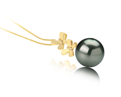 Colgante de perlas Perla Tahití de calidad AAA de 10 a 10.5mm en color Negro