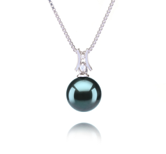 Colgante de perlas Perla Tahití de calidad AAA de 9 a 10mm en color Negro