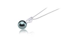 Colgante de perlas Perla Tahití de calidad AAA de 9 a 10mm en color Negro
