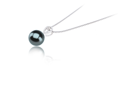 Colgante de perlas Perla Tahití de calidad AAA de 9 a 10mm en color Negro