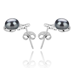 Par de pendientes de perlas Perla de Agua Dulce de calidad AAA de 7 a 8mm en color Negro