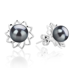 Par de pendientes de perlas Perla de Agua Dulce de calidad AAAA de 7 a 8mm en color Negro